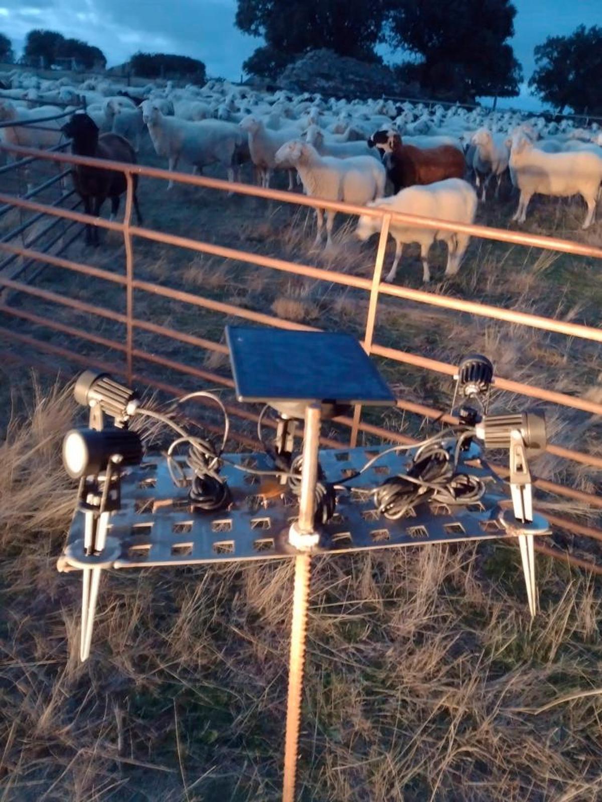 Los focos con placa solar que prueba.