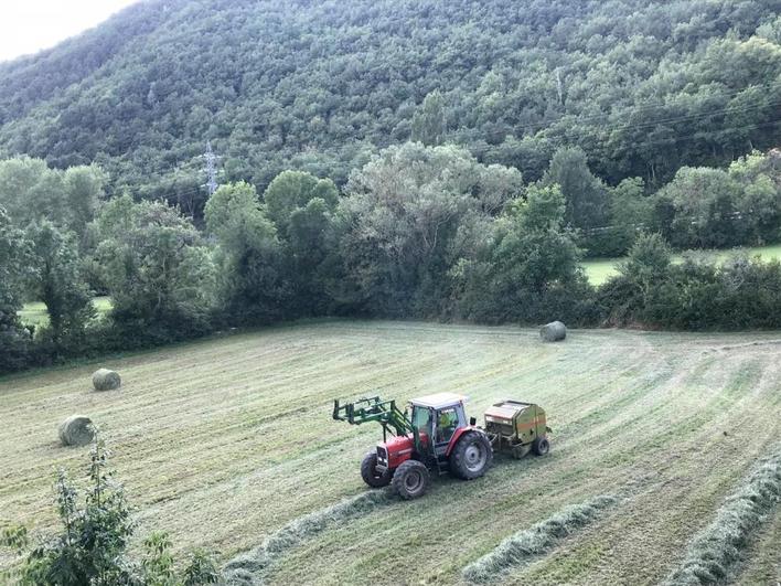 Un tractor recoge alpacas de hierba