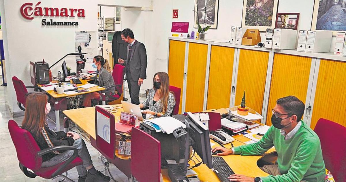 Técnicos de la Cámara Oficial de Comercio, ayudando a los salmantinos en sus gestiones