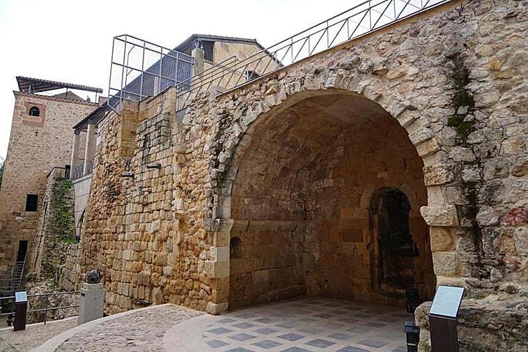 La vegetación ha vuelto a crecer en zonas de la Cueva de Salamanca por las que se producen las filtraciones y escorrentías del agua
