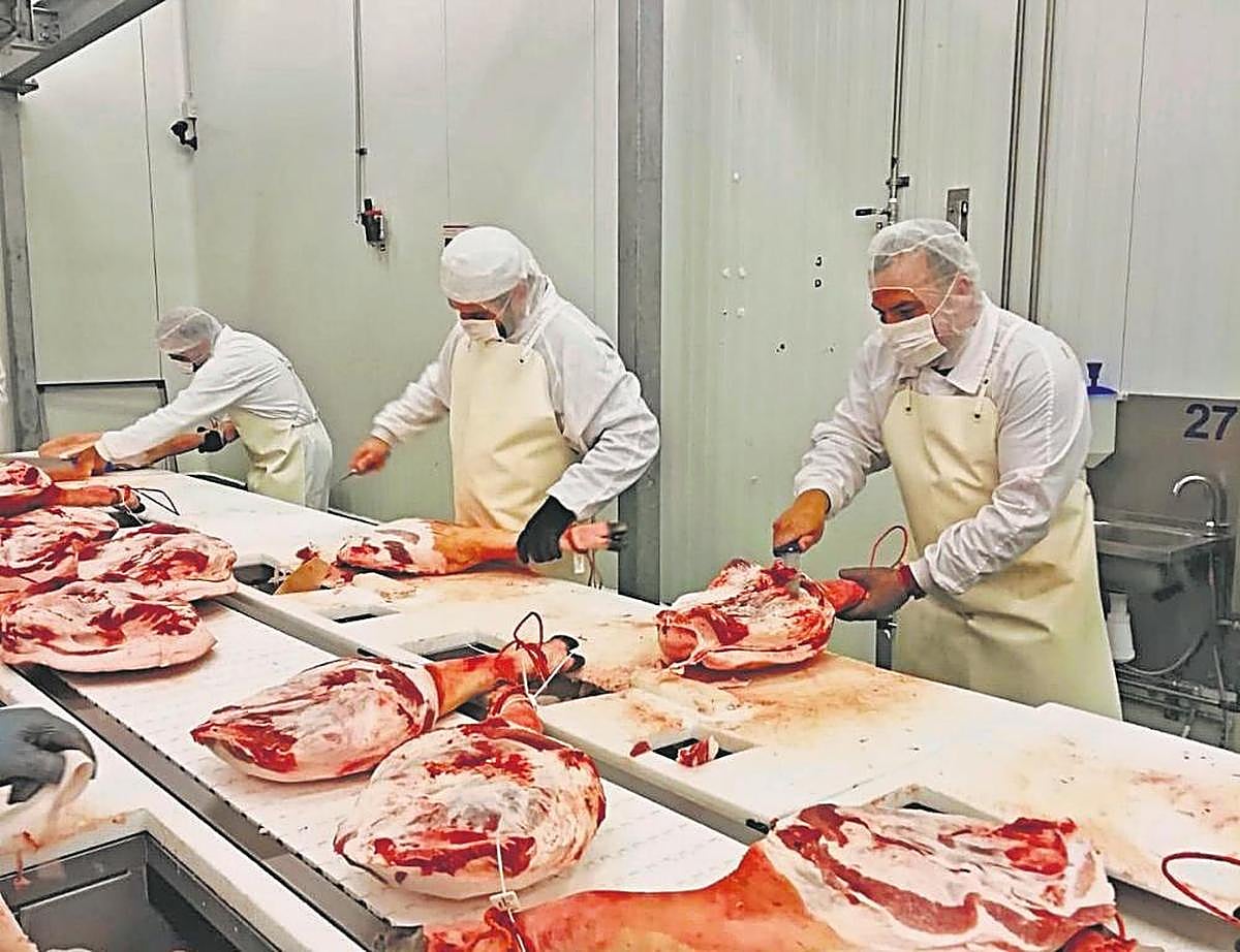 Trabajadores de una industria cárnica preparando piezas de jamón en fresco.