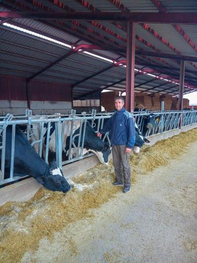 Pedro Blázquez, en su explotación de vacas de leche de Macotera