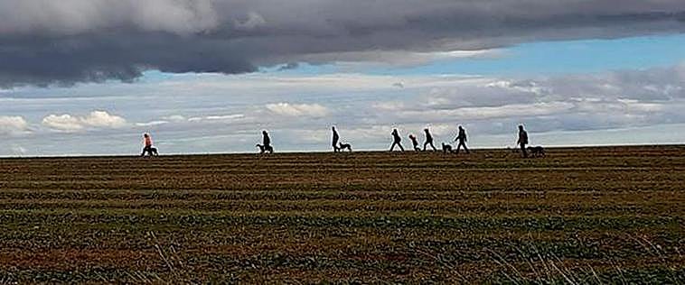 Una cuadrilla de galgueros en mano en busca de una nueva carrera