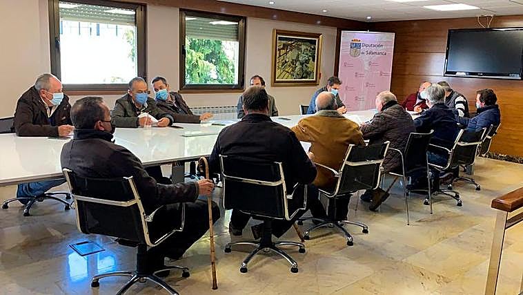 Mesa de vacuno de vida celebrada este lunes