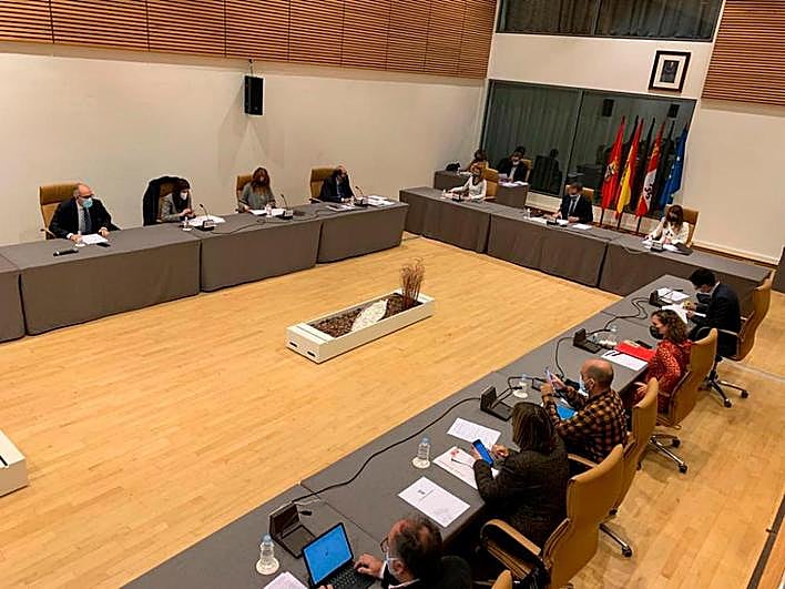 Imagen del Pleno del Ayuntamiento de este viernes.