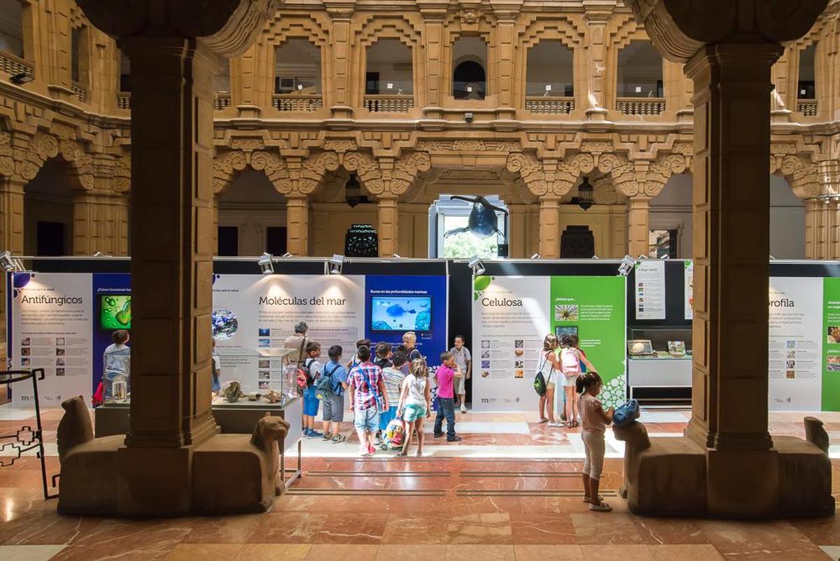 Una iniciativa de divulgación científica con escolares en la Casa de la Ciencia de Sevilla.