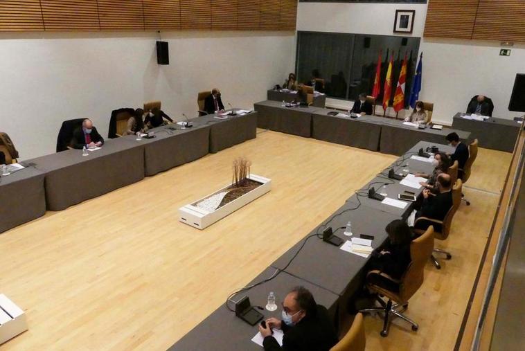 Pleno municipal celebrado este viernes en el Palacio de Congresos.