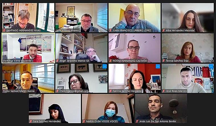 Imagen de los participantes en el pleno extraordinario que se celebró de manera telemática.