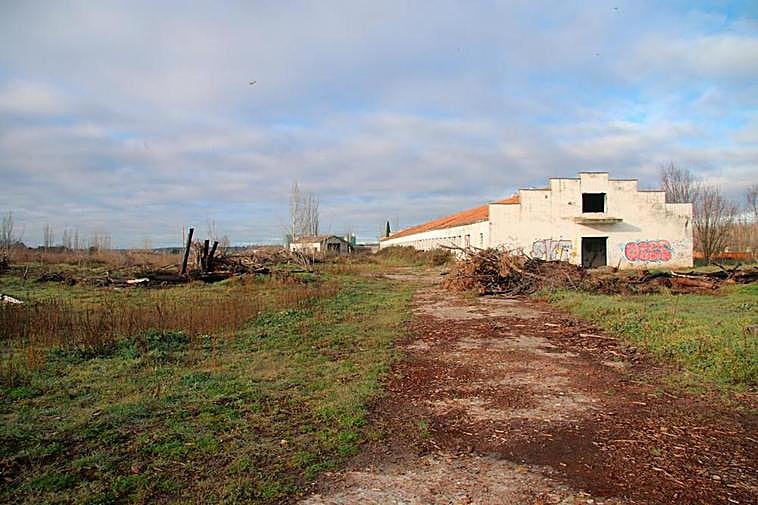 Los antiguos edificios de la granja de gallinas, abandonados hace años.