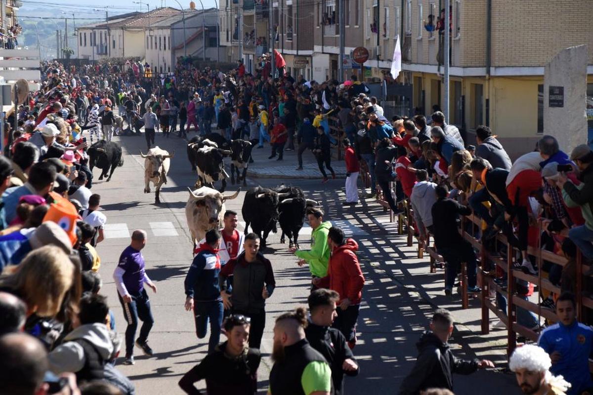 El encierro del Sábado del último Carnaval del Toro celebrado en febrero de 2020