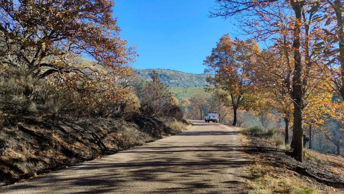 Carretera de ascenso a la Peña de Francia por las localidades de Serradilla del Arroyo y Monsagro.