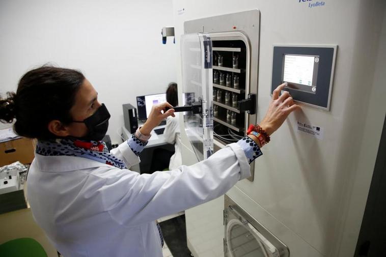 Un equipo puntero para diseñar medicinas para el pulmón llega a Salamanca
