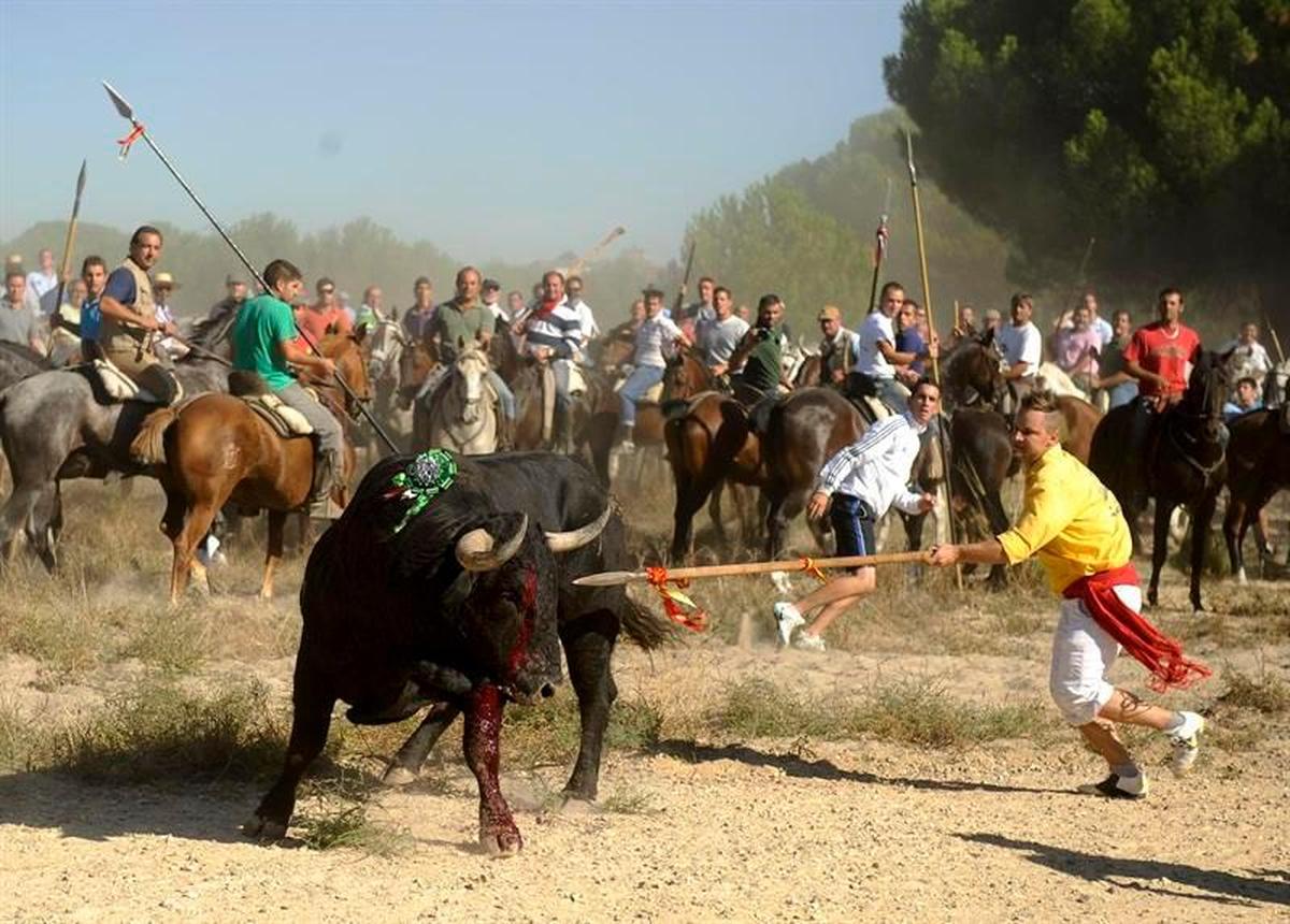 Una edición previa del Toro de la Vega