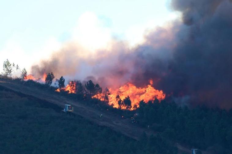 Zona afectada por las llamas y los fuertes vientos.