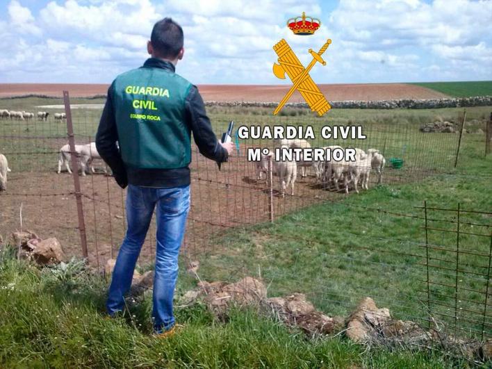 Un guardia civil inspeccionando otra finca de la provincia.