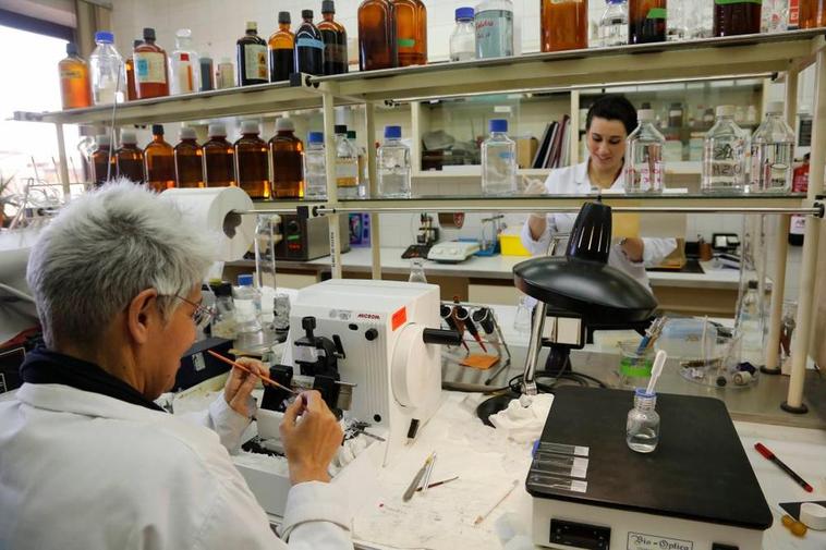 Investigadoras en uno de los laboratorios de la Universidad de Salamanca