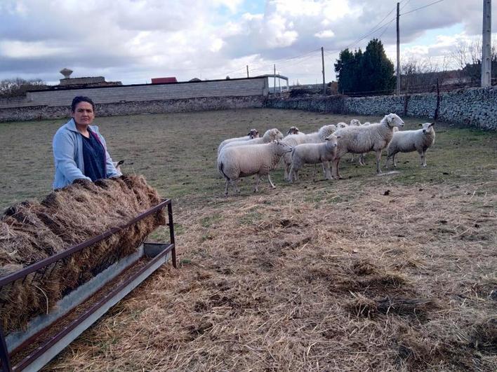 Mari, en la parcela con sus ovejas.