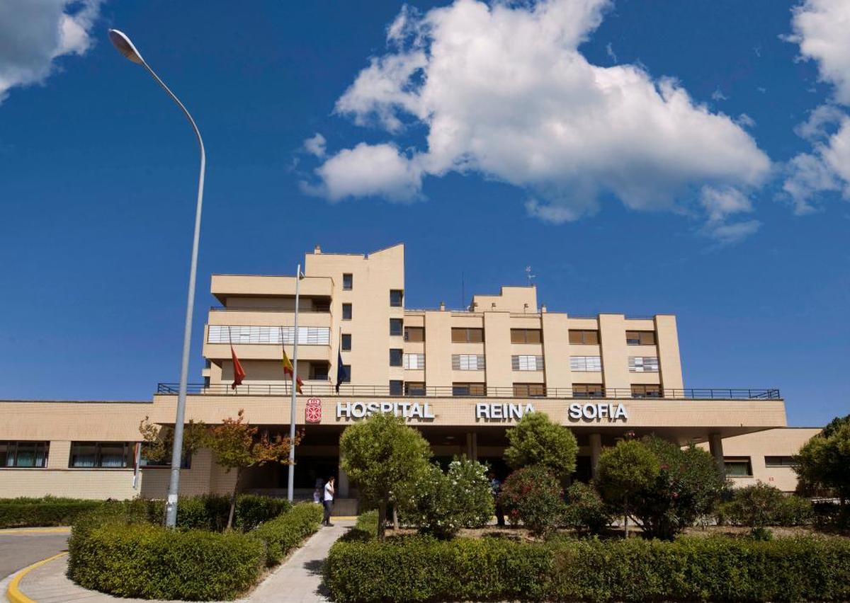 Hospital Reina Sofía, de Tudela