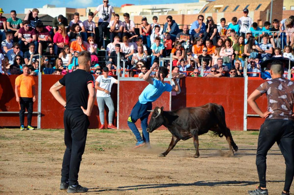 Festejo taurino celebrado en Villares de la Reina en 2019