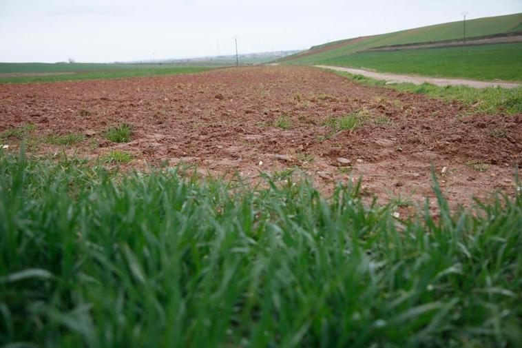 Campo en barbecho en las inmediaciones de la capital