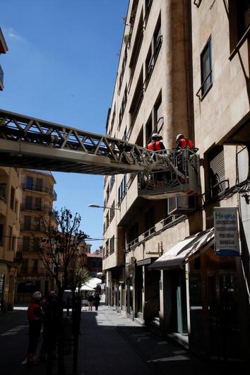 Los Bomberos tratan de rescatar a una paloma