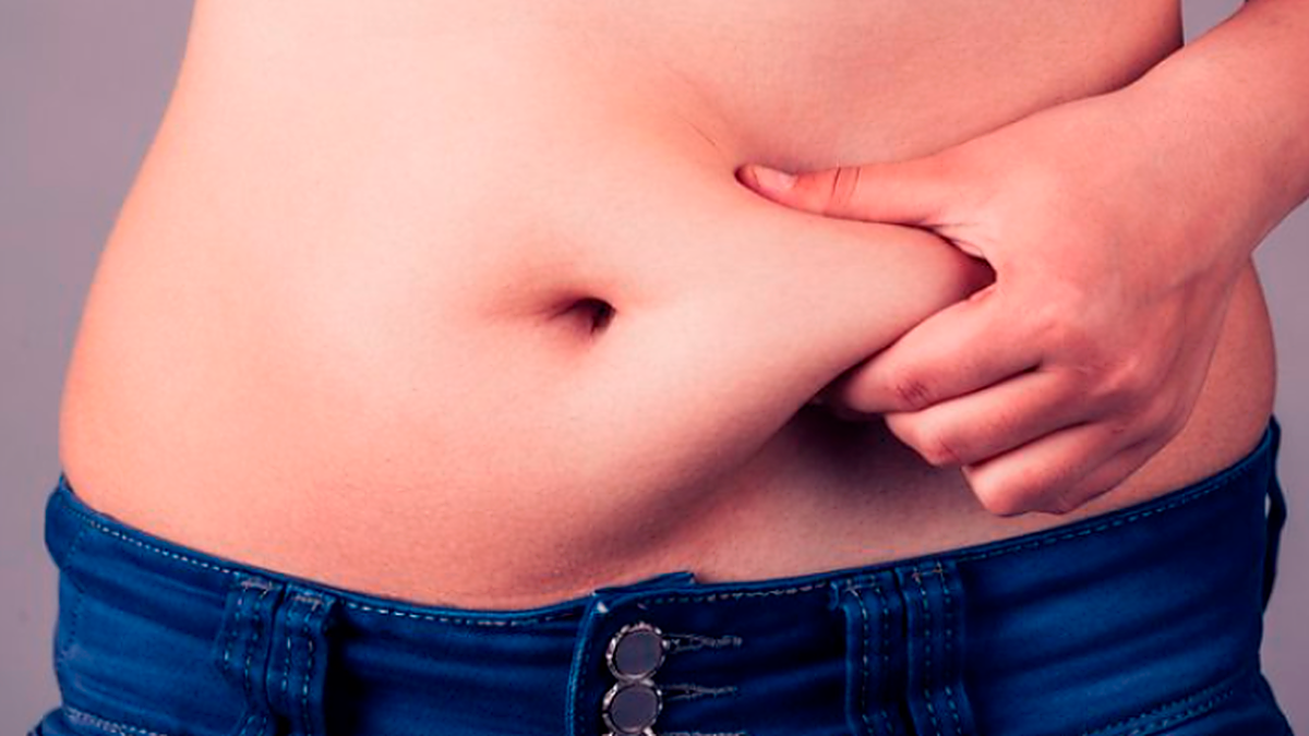 Grasa en el abdomen