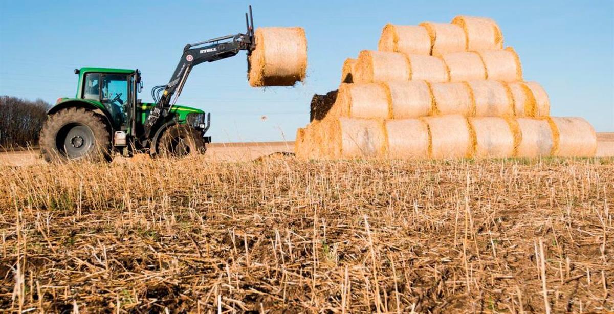 Un tractor almacena pacas de paja