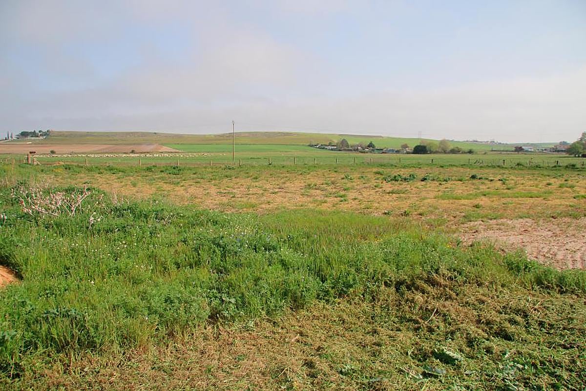 Vista de la zona del Prado Boyal de Villamayor, junto a la SA-300.
