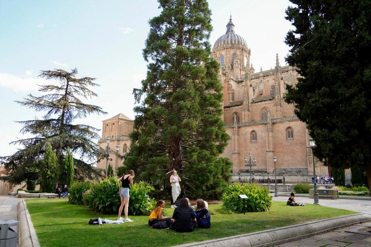 Jóvenes tomando el sol en la plaza de Anaya.