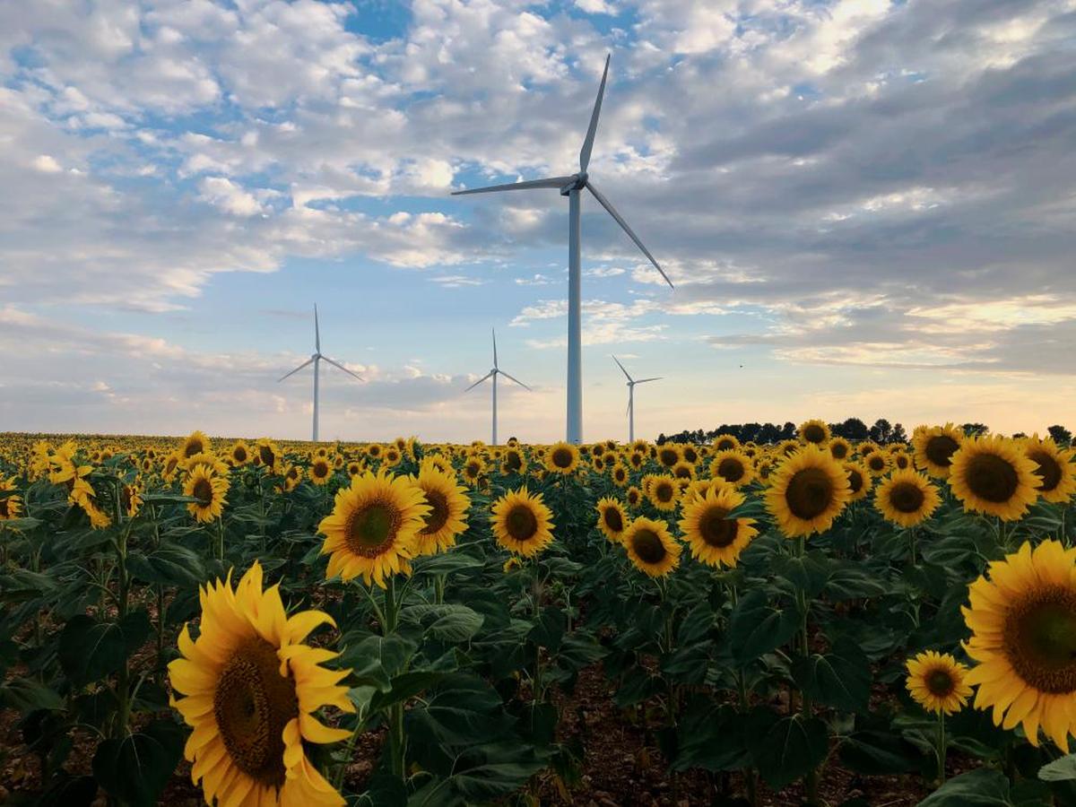 Parque eólico de Iberdrola en Castilla y León