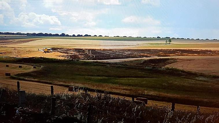 Superficie calcinada por el incendio en Aldeatejada.