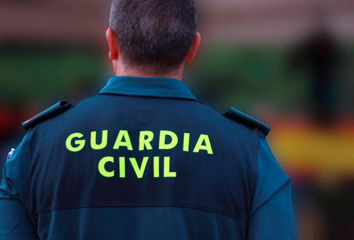 La Guardia Civil se ha ocupado del caso.