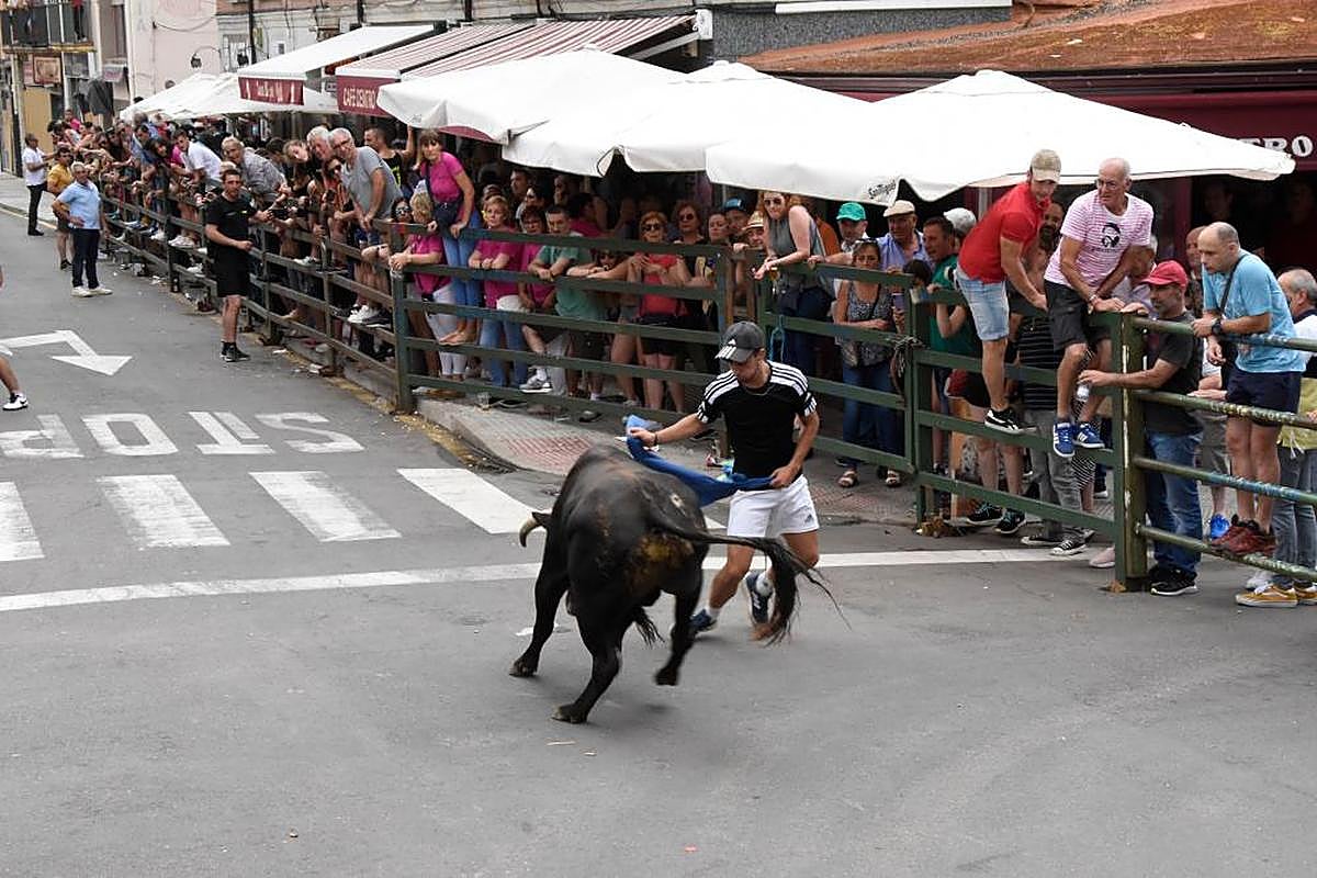 Recorte en el tramo de las Cuatro Calles a uno de los novillos de Ignacio López Chaves en Vitigudino