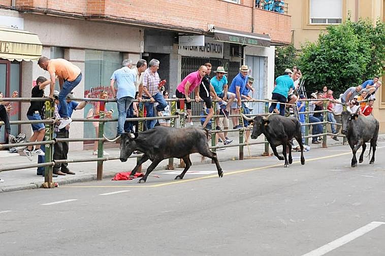 Vacas de Victorino Martín en tramo inicial del encierro