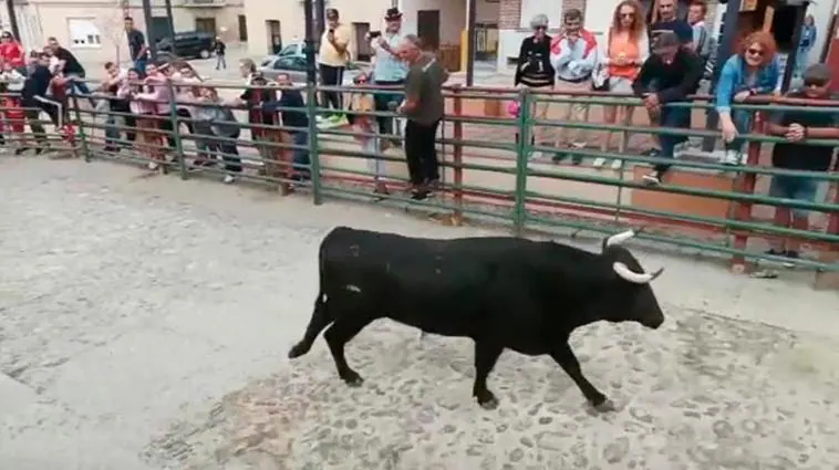 Hinojosa de Duero se viste de fiesta con el Toro del Cajón