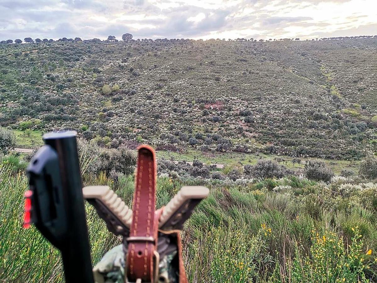 Panorámica captada durante un rececho en un coto salmantino