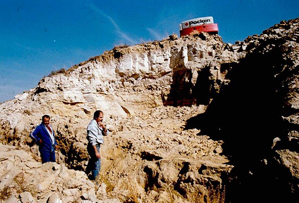 Teso de la Flecha de Cabrerizos.