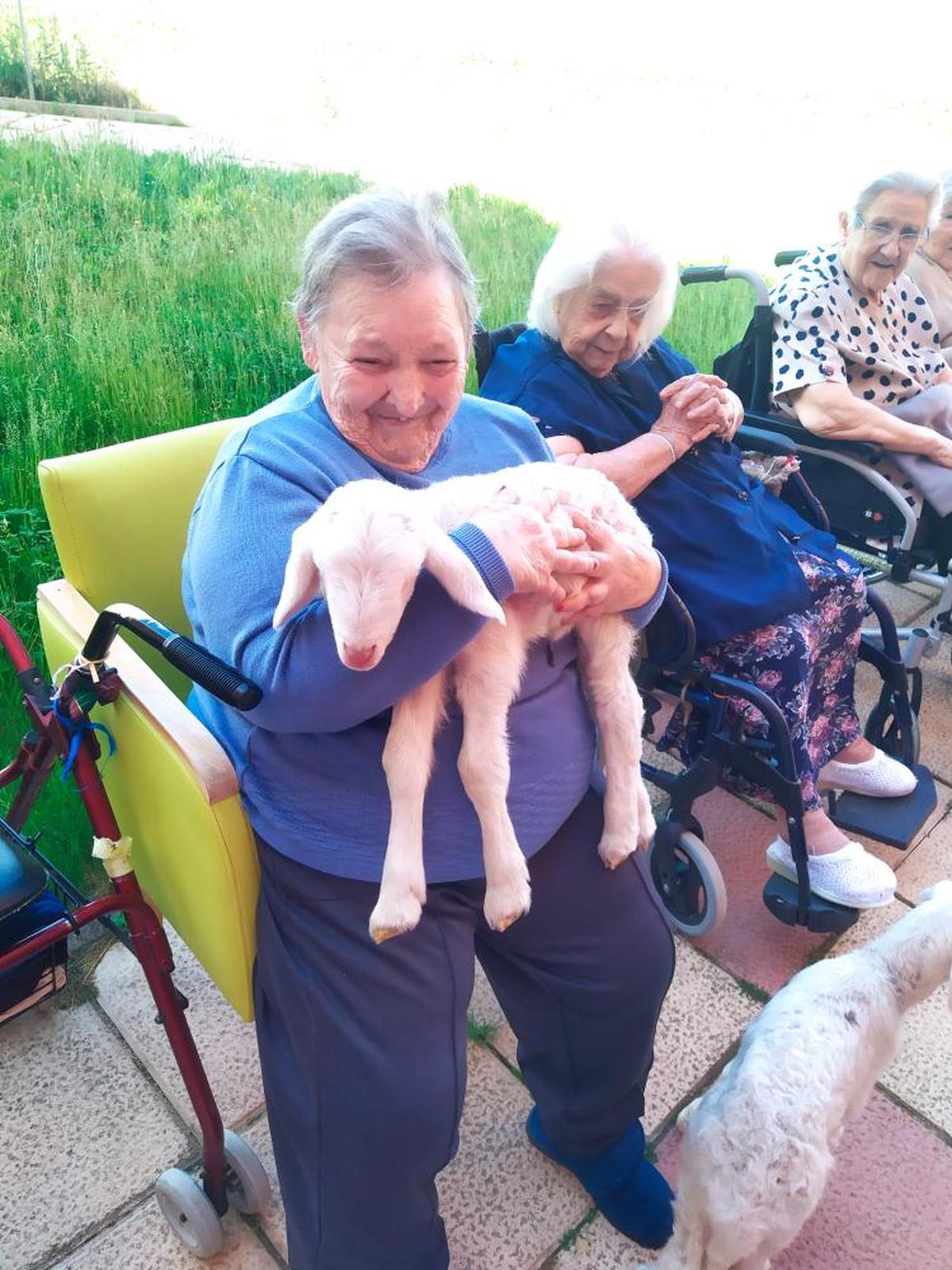 Residentes de Albertia participando en una Terapia No Farmacológica con animales.