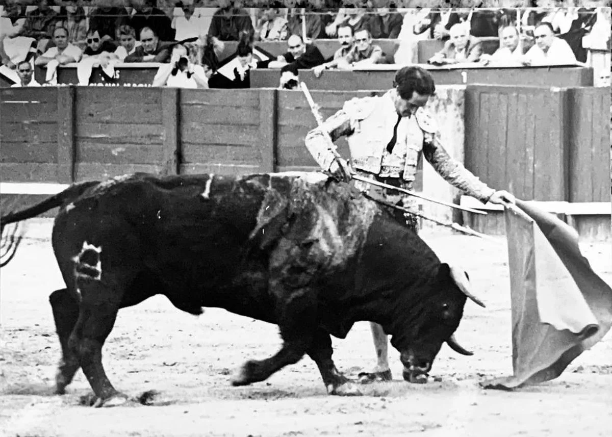 Natural ayudado de Julio Robles, con la figura erguida y relajada, a un toro de Atanasio Fernández en La Glorieta.