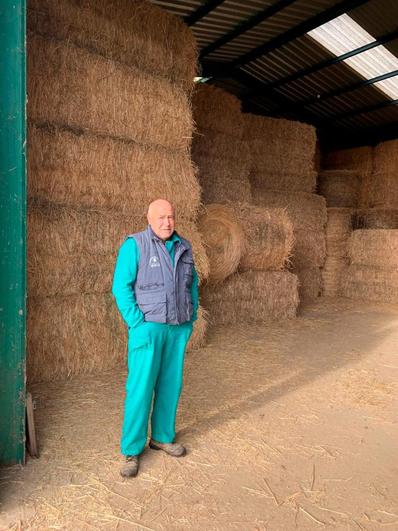 José Javier Arévalo cultiva forrajes ecológicos para su ganado vacuno ecológico.