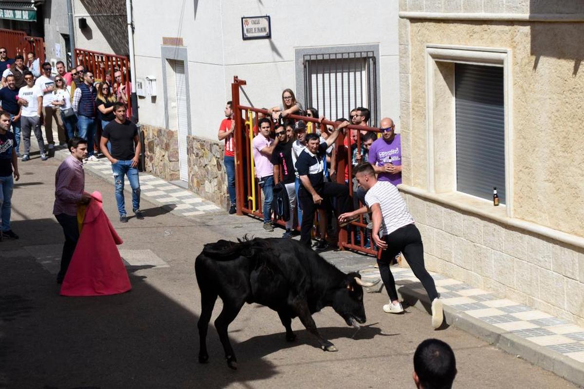 Los habitantes de Tamames celebran sus fiestas