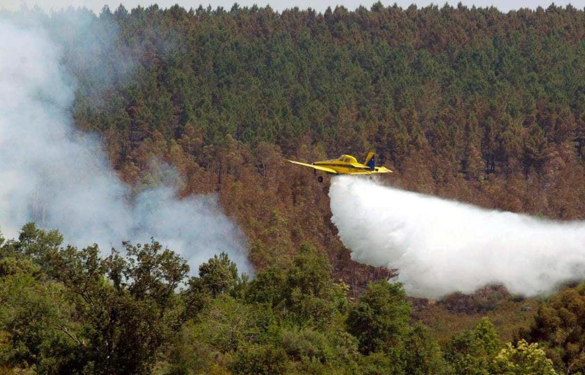Incendio de 2005 en las sierras de las Quilamas y Francia. | ARCHIVO