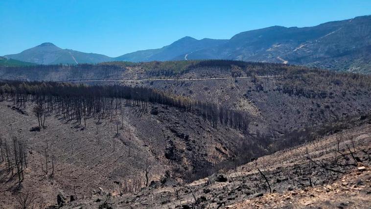 El desolador paisaje que han dejado las llamas del incendio de Monsagro