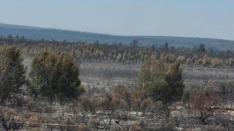 Los incendios en Salamanca, EN DIRECTO | El incendio de Candelario baja a nivel 0