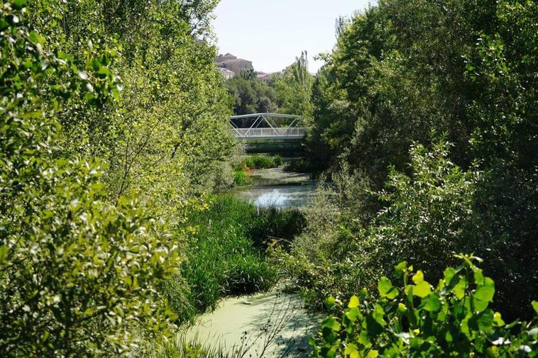 Cauce del Arroyo del Zurguén, en cuyas riberas y vaguada actuará el Ayuntamiento en los próximos meses