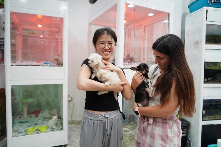 Dos clientas interactúan con perros cachorros en una tienda de animales en Salamanca.