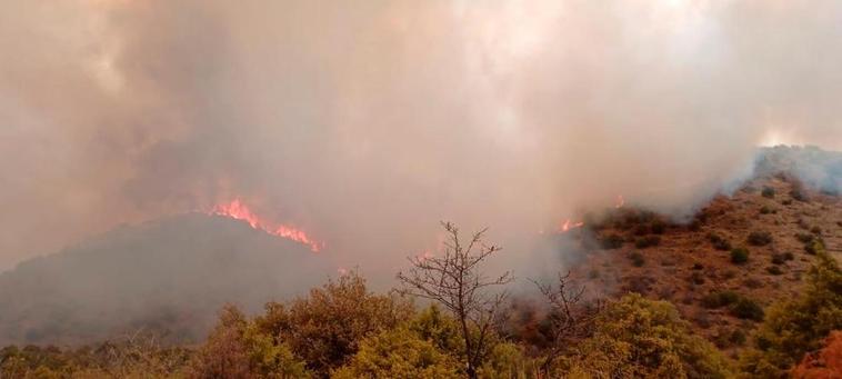 Fuego en La Fregeneda.