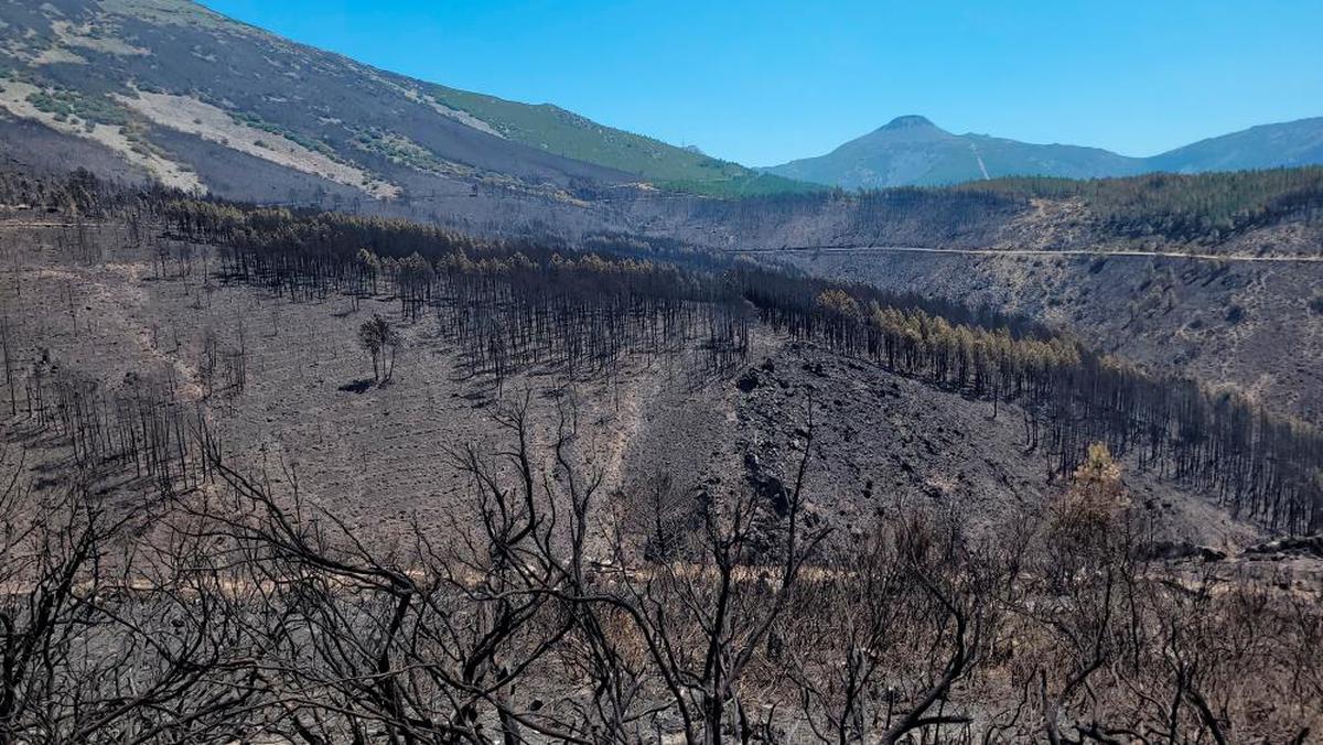 Desoladora imagen dejada por el paso de las llamas del incendio de Monsagro