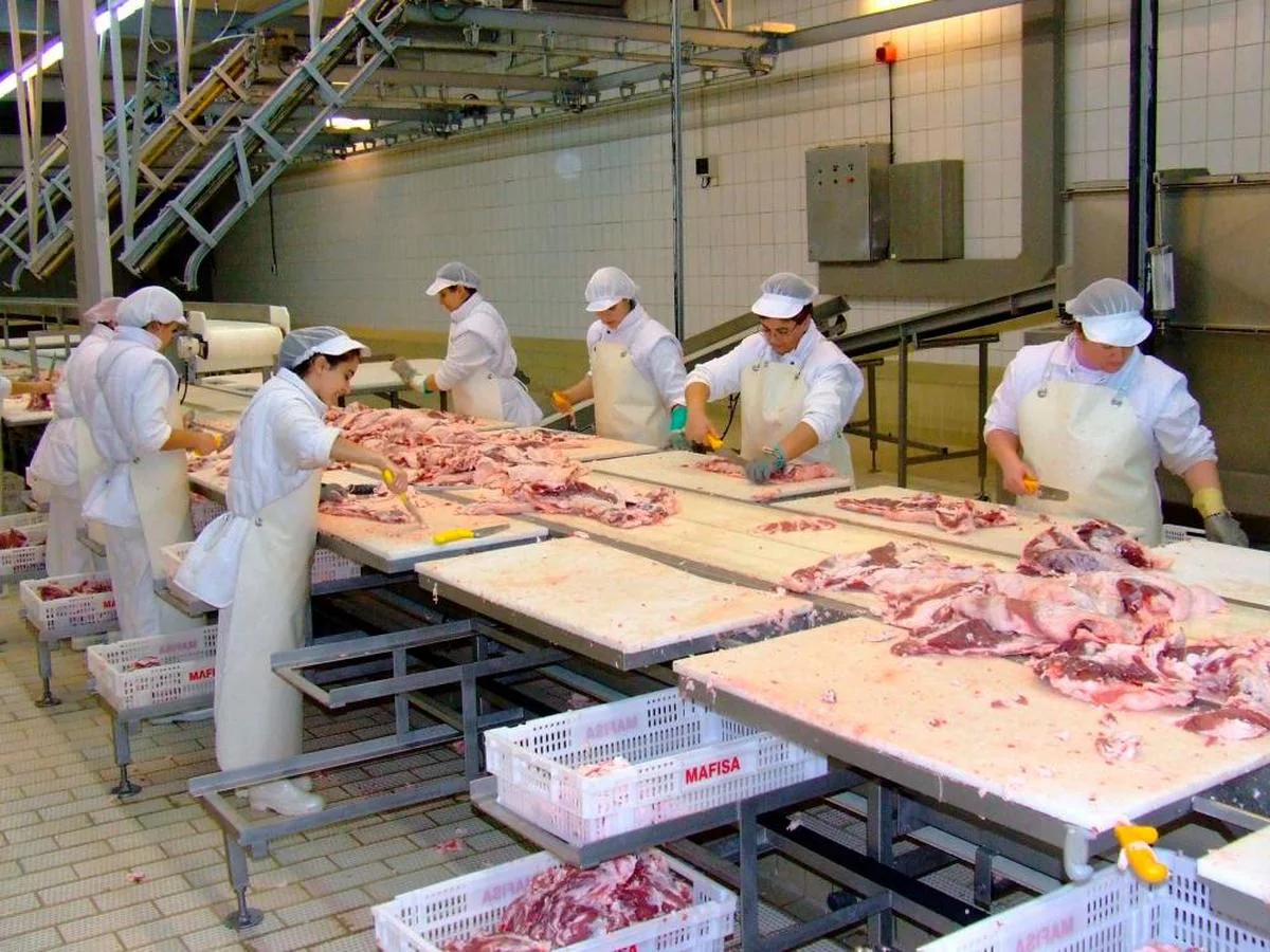 Trabajadoras seleccionan magro en un matadero de Guijuelo