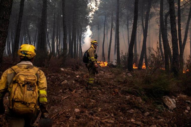 Incendios en la Sierra de la Culebra, en Zamora, el 16 de junio de 2022.